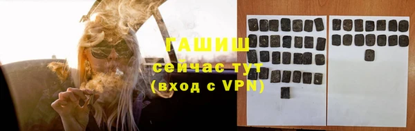 СК Алексин