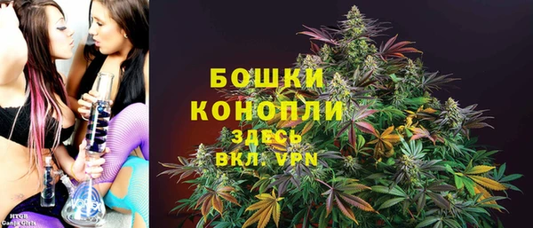 СК Алексин