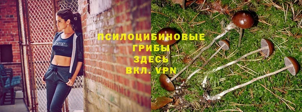 трава Алексеевка