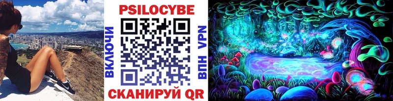 Псилоцибиновые грибы ЛСД  кракен ссылки  Тосно 