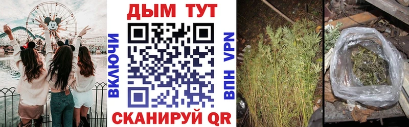 Конопля OG Kush  OMG как зайти  Тосно 